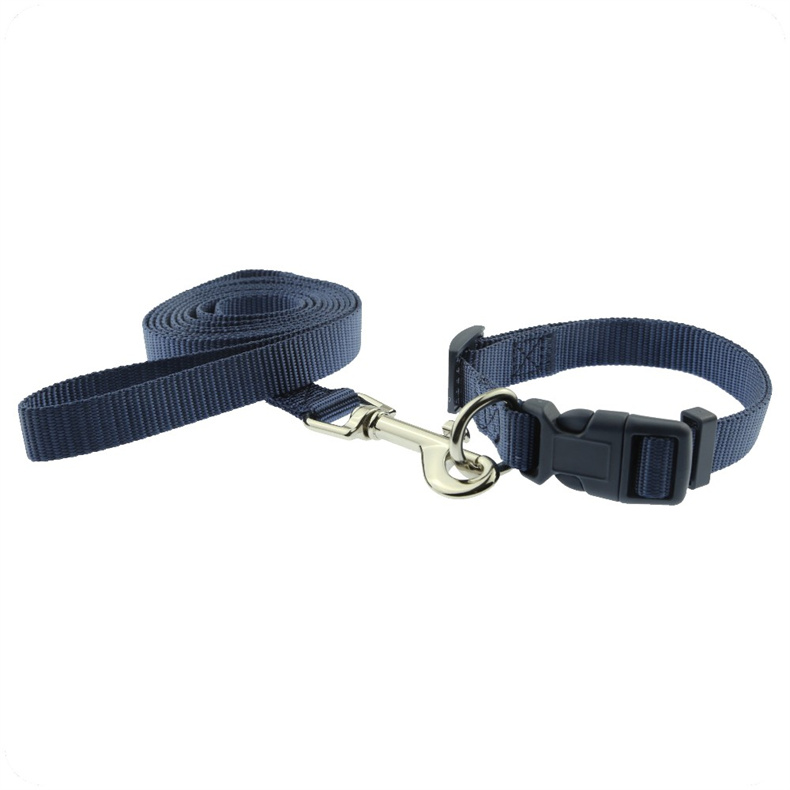 Detail-07 custom dog collar and leash set.jpg